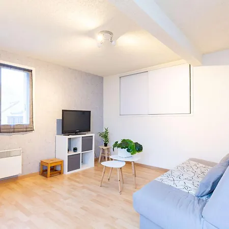 T2 Cosy A St-lary Soulan Avec Parking - Proche Telecabines *